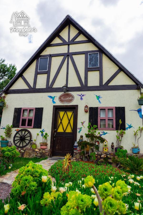 Fernabella'S Lodge バジェ・デ・グアダルーペ エクステリア 写真