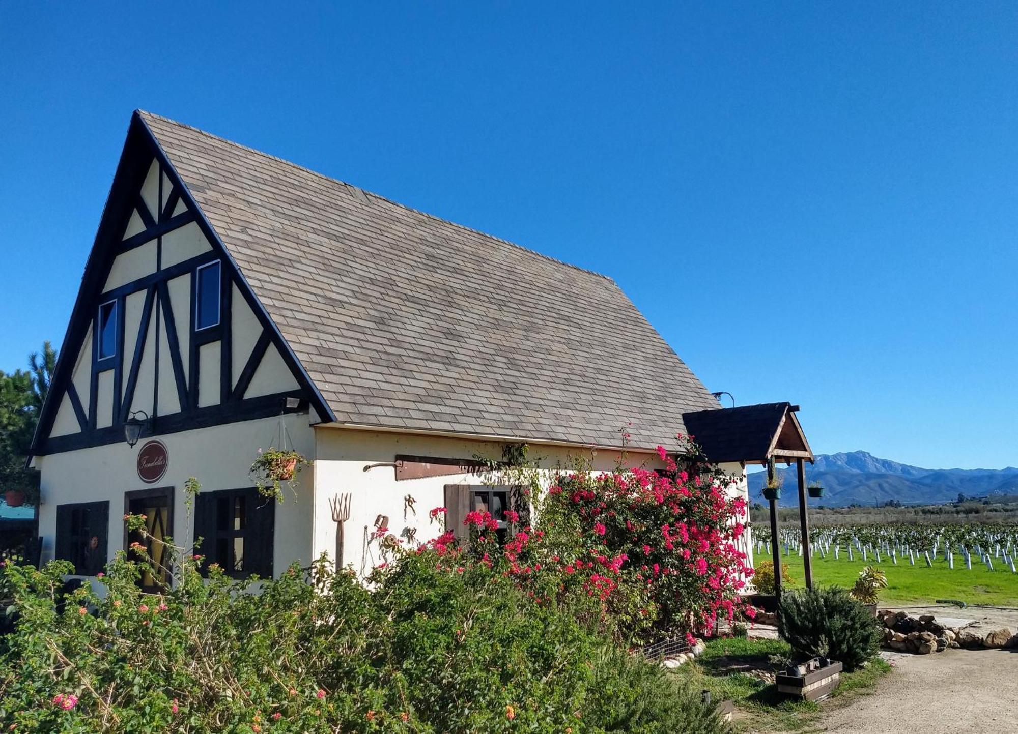 Fernabella'S Lodge バジェ・デ・グアダルーペ 部屋 写真